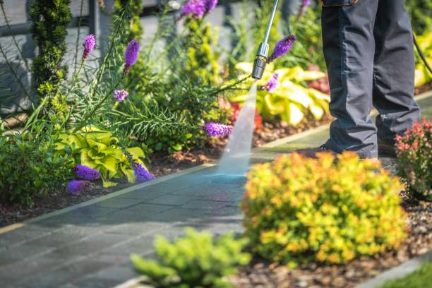 Best House Exterior Washing  in Tyrone, PA